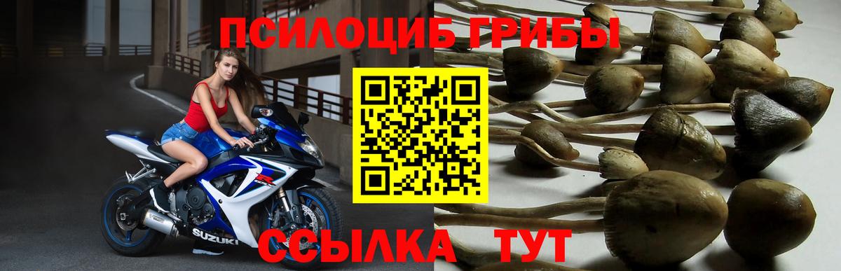 Галлюциногенные грибы прущие грибы  Вход с VPN  Нижнекамск  Галлюциногенные грибы Magic Shrooms 